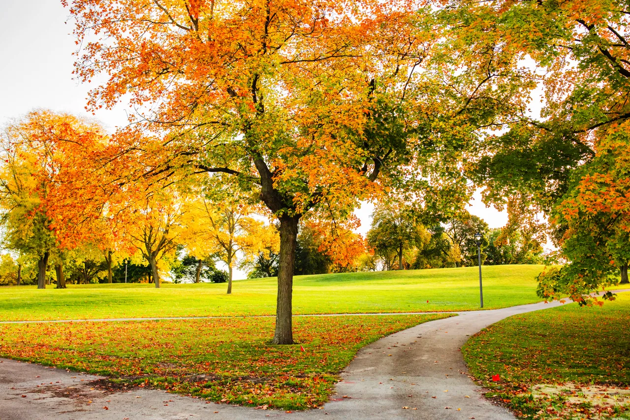 VM_WashingtonPark-9815