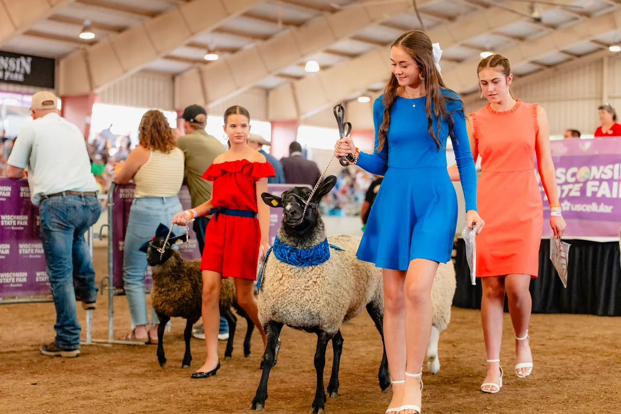 Junior Sheep exhibitors