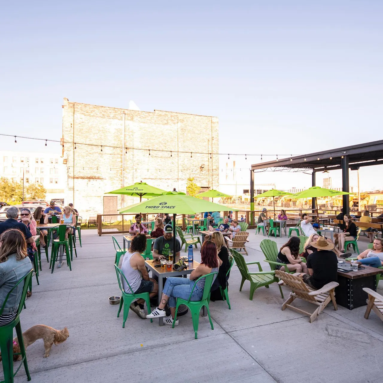 Guests relax at outdoor tables on a sunny rooftop patio as a small dog walks by.