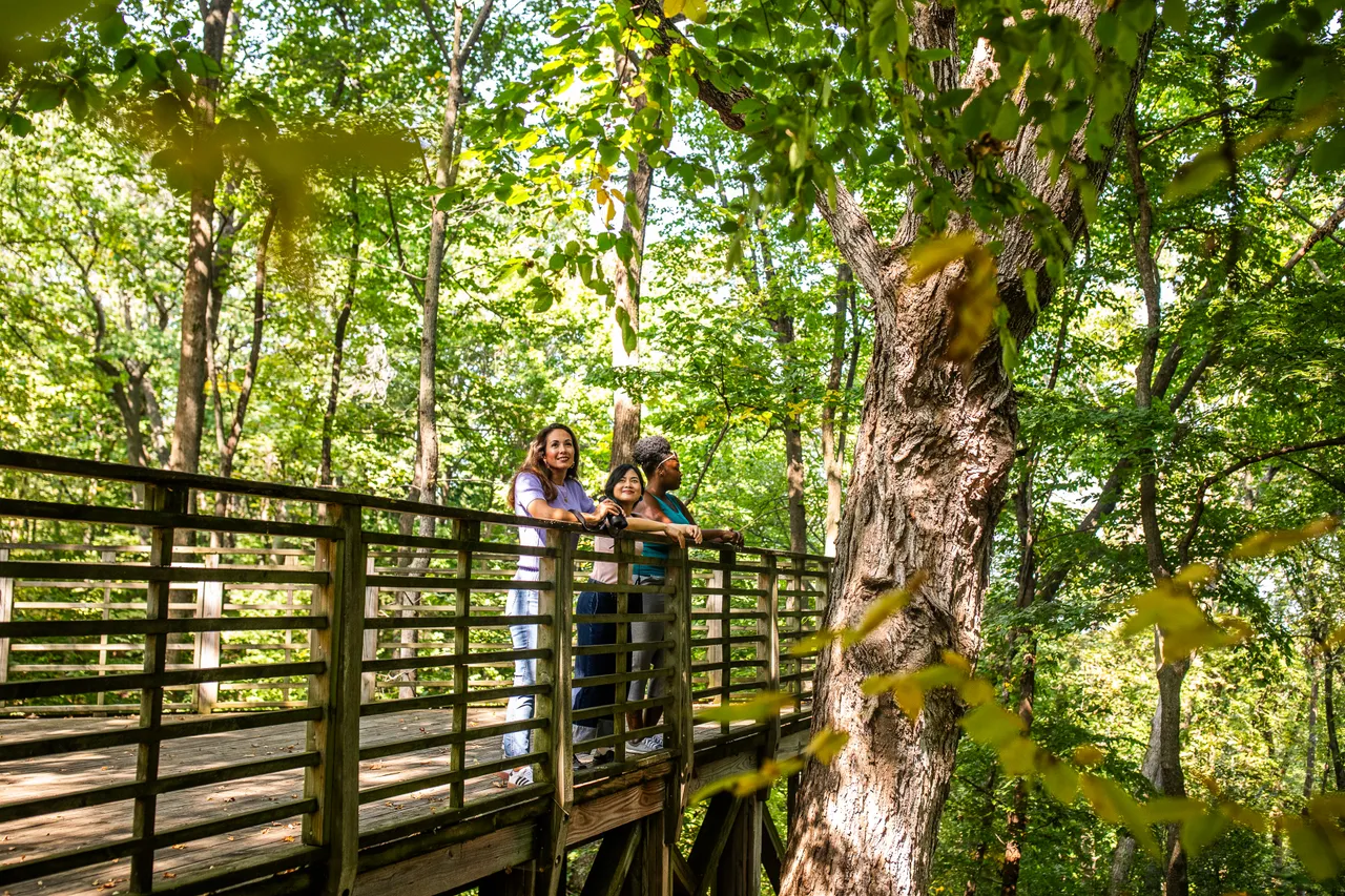 VM_SchlitzAudubon-34