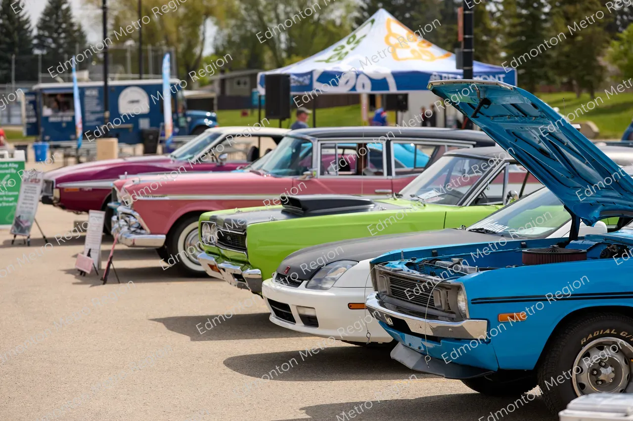 Antique car show