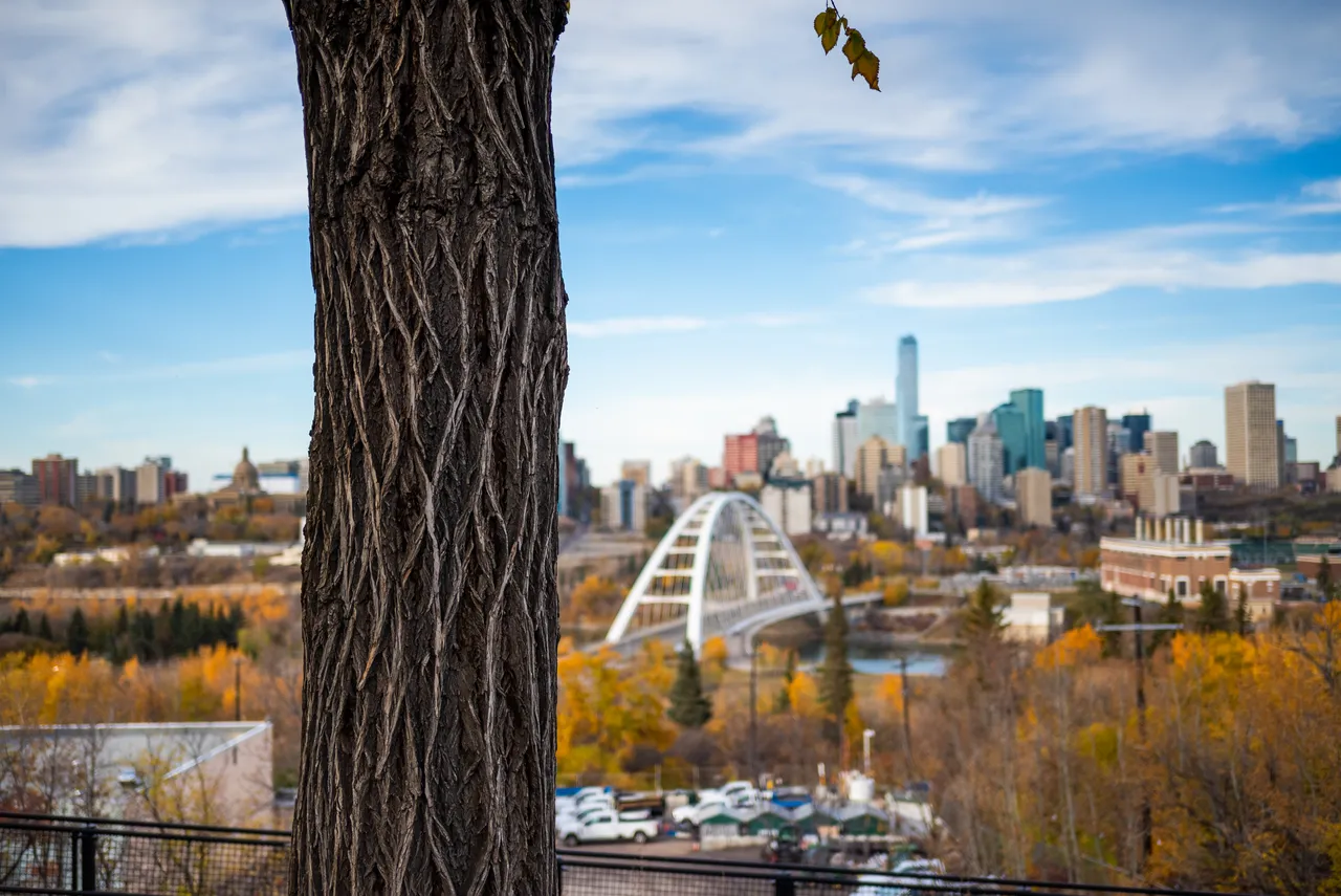 Downtown Edmonton Skyline