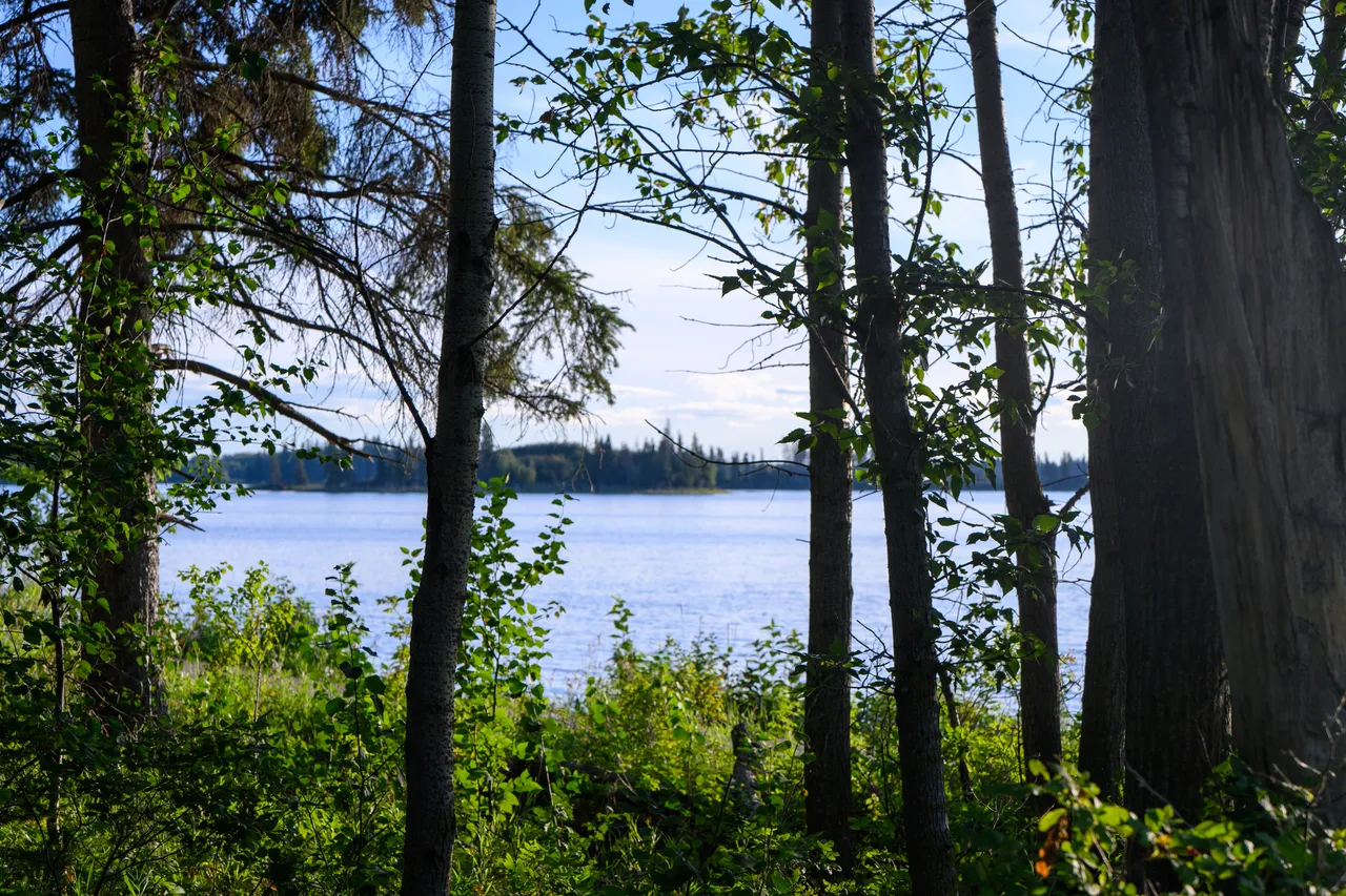 Elk Island