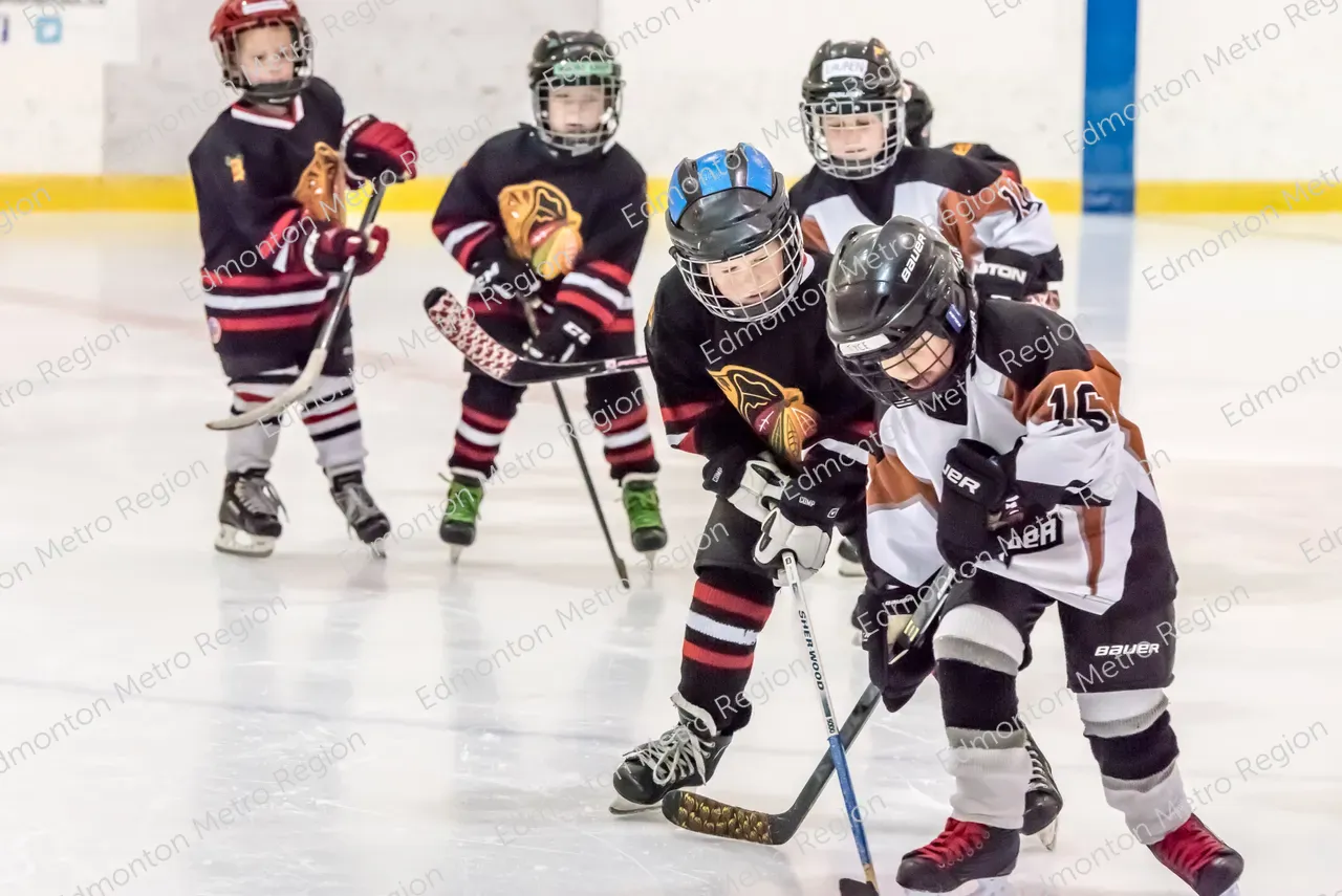Kids Hockey