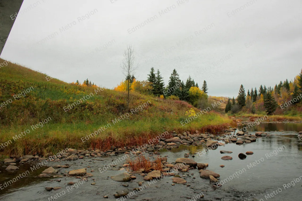 Sturgeon River