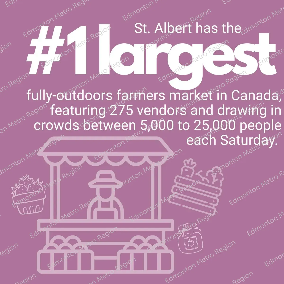 farmers market