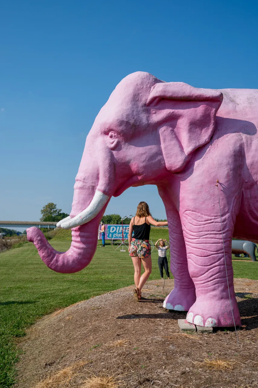 Pink Elephant Antique Mall 2_Route 66_Livingston_Great Rivers Country