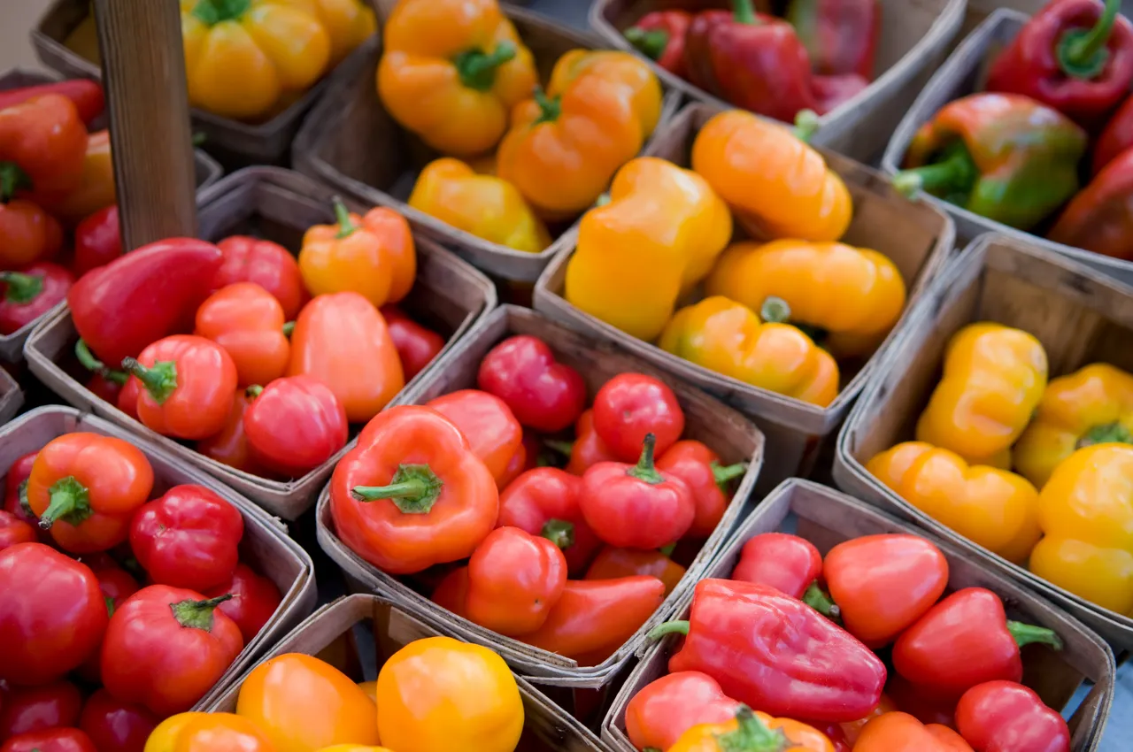 Green City Market_Chicago