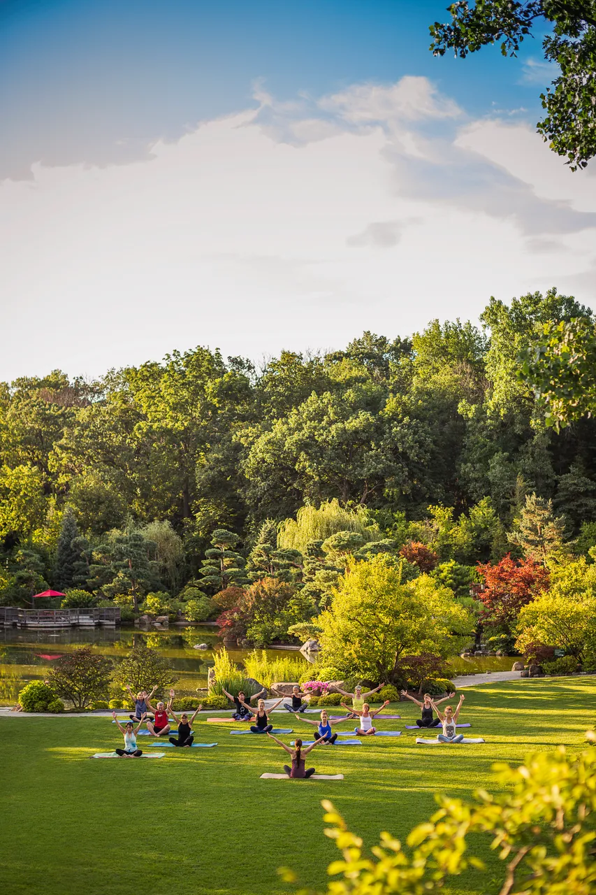 Anderson Japanese Gardens_Yoga_Rockford_Beyond