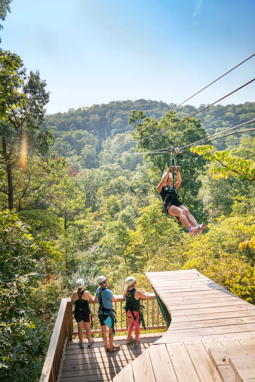 Grafton Zipline_Grafton_Great Rivers Country