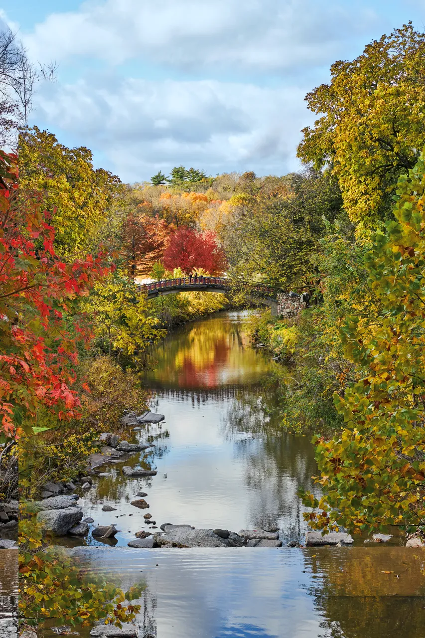 Laura Bradley Park_Peoria_Great Rivers Country