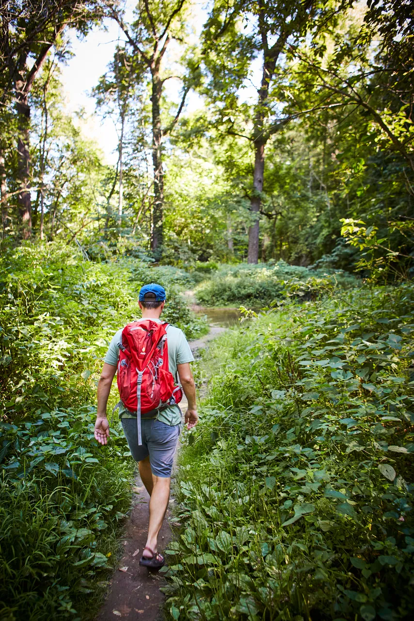 White Pines Forest State Park_Hiking_Mt Morris_Beyond