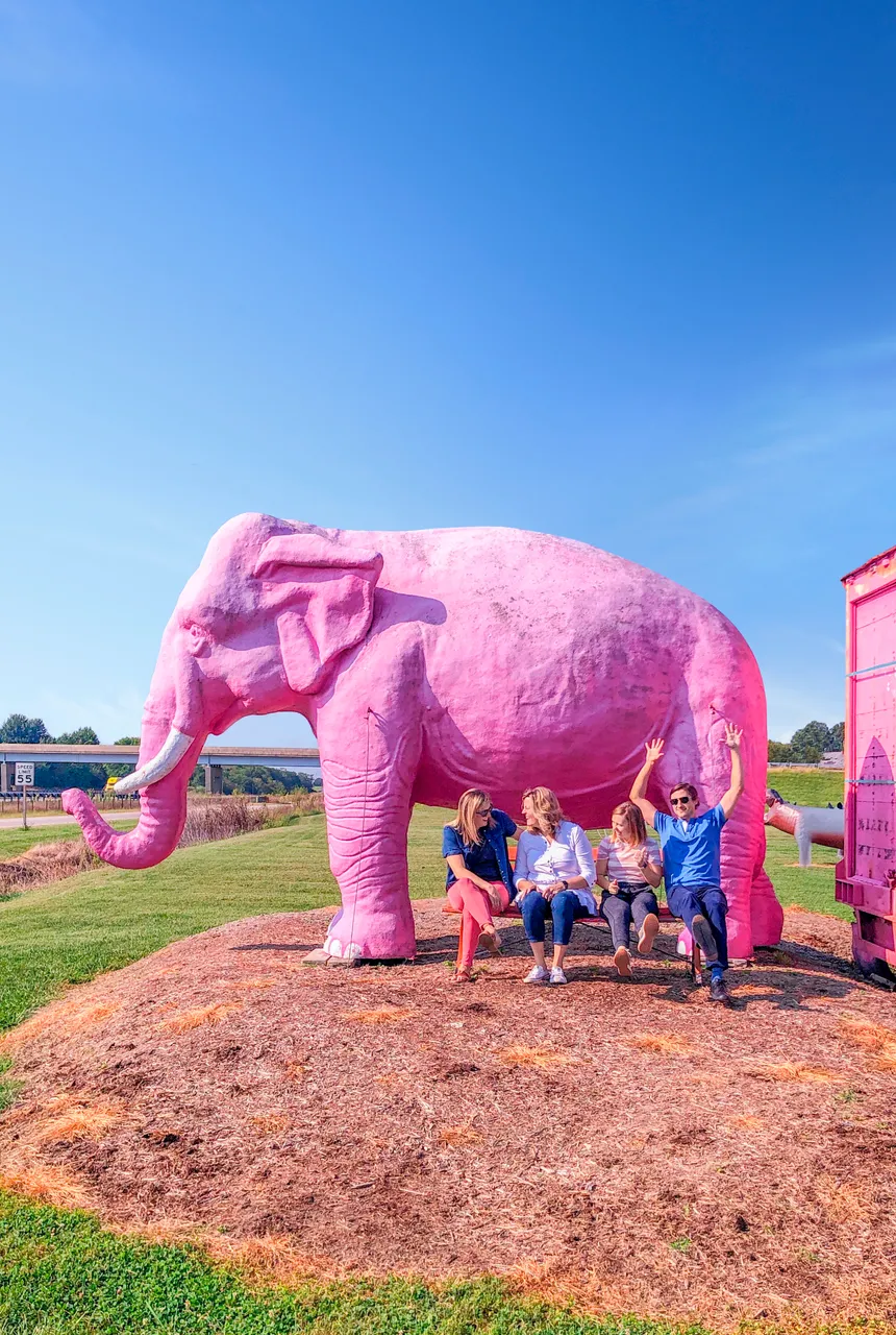 Pink Elephant Antique Mall_Route 66_Livingston_Great Rivers Country