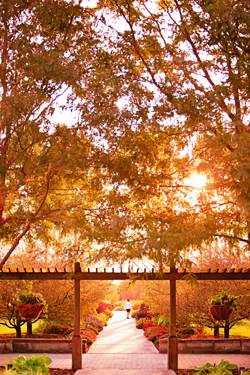 University of Illinois Arboretum_Champaign_Land of Lincoln