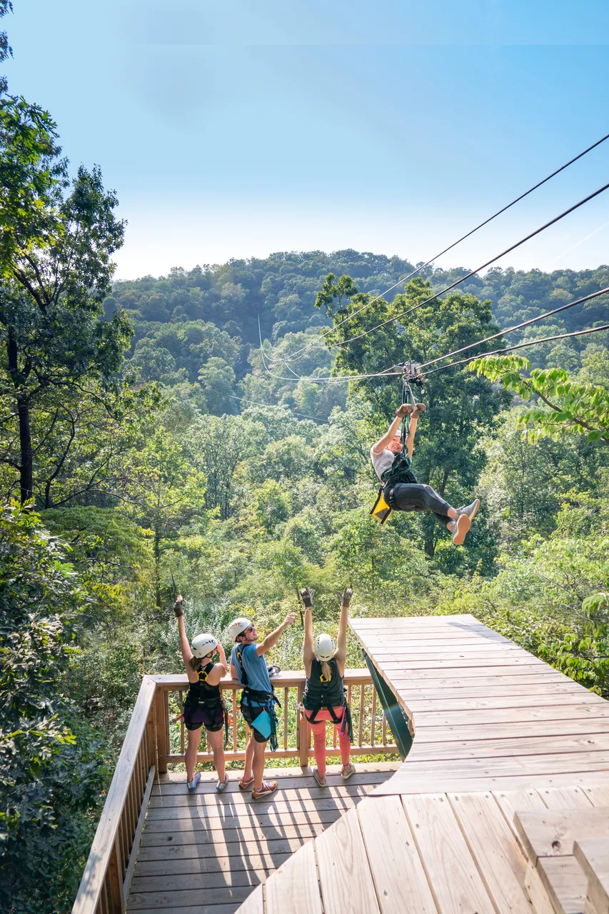 Grafton Zipline 2_Grafton_Great Rivers Country