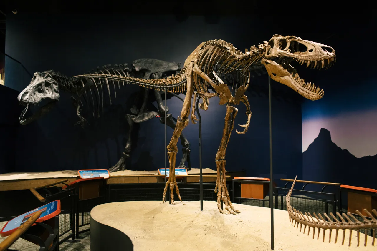 Burpee Museum_Jane the T-Rex _Rockford_Beyond