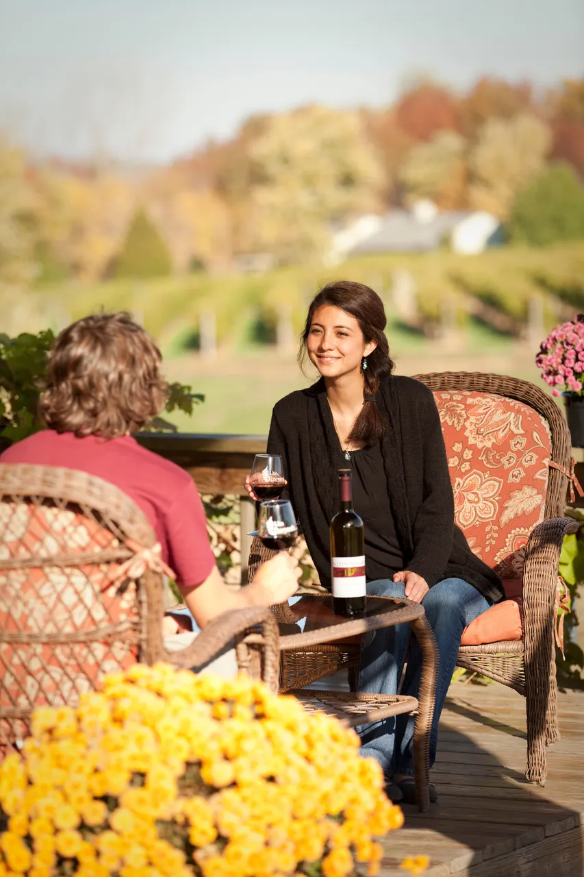 Alto Vineyards_IL Made_Champaign_Land of Lincoln