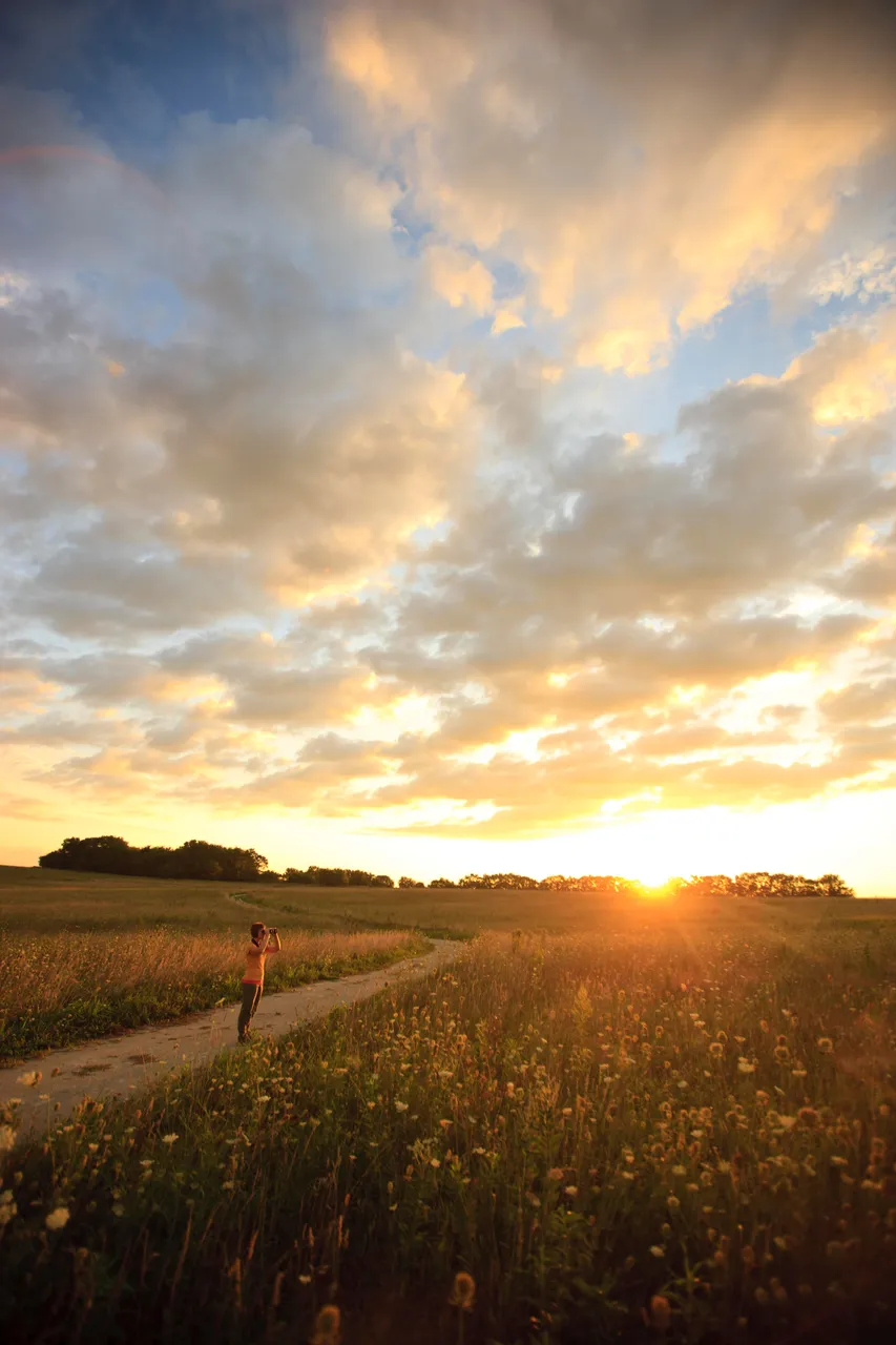 Midewin National Tallgrass Prairie_Wilmington_Beyond