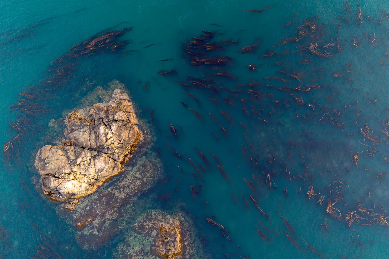 Aerial of Ocean Rocks Emerging from Water