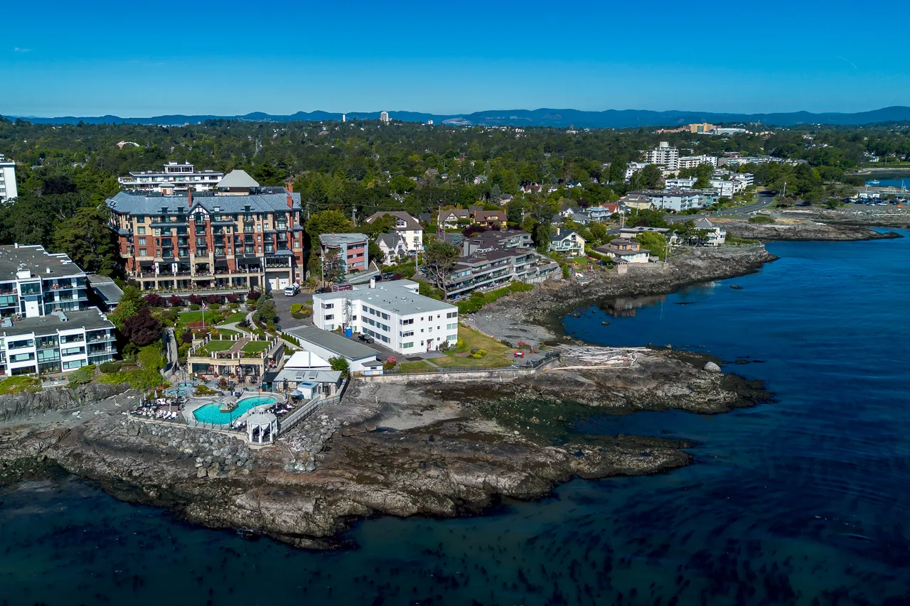 Aerial Photo of Beach Overlooking Ocean During Summer