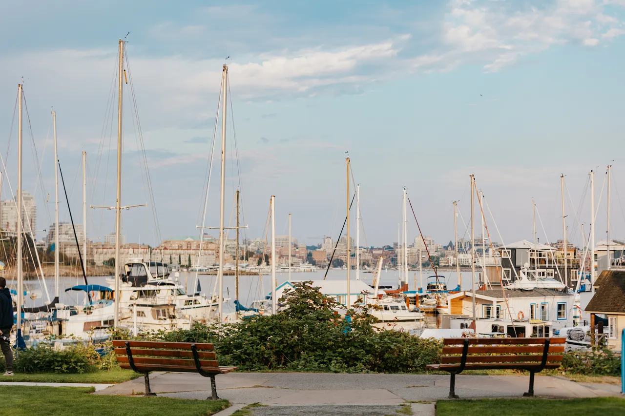 Peaceful marina view with benches and sailboats at dusk