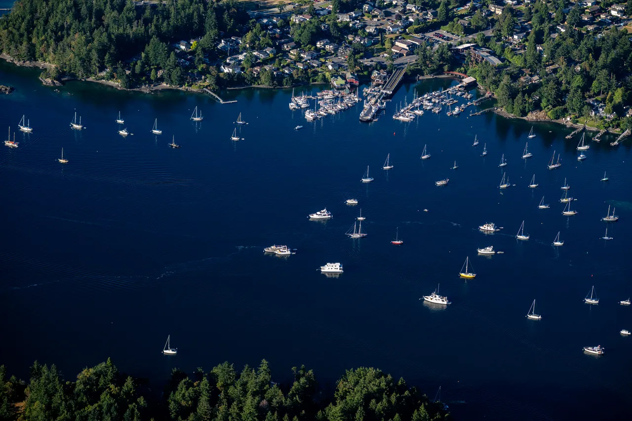 Brentwood Bay Marina and Ocean Aerial 