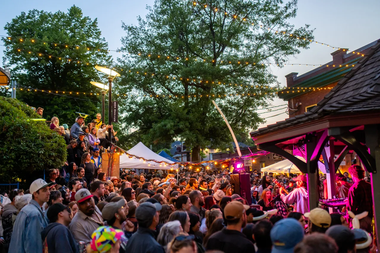 Fernwood Crowd at Concert with Trees in Background