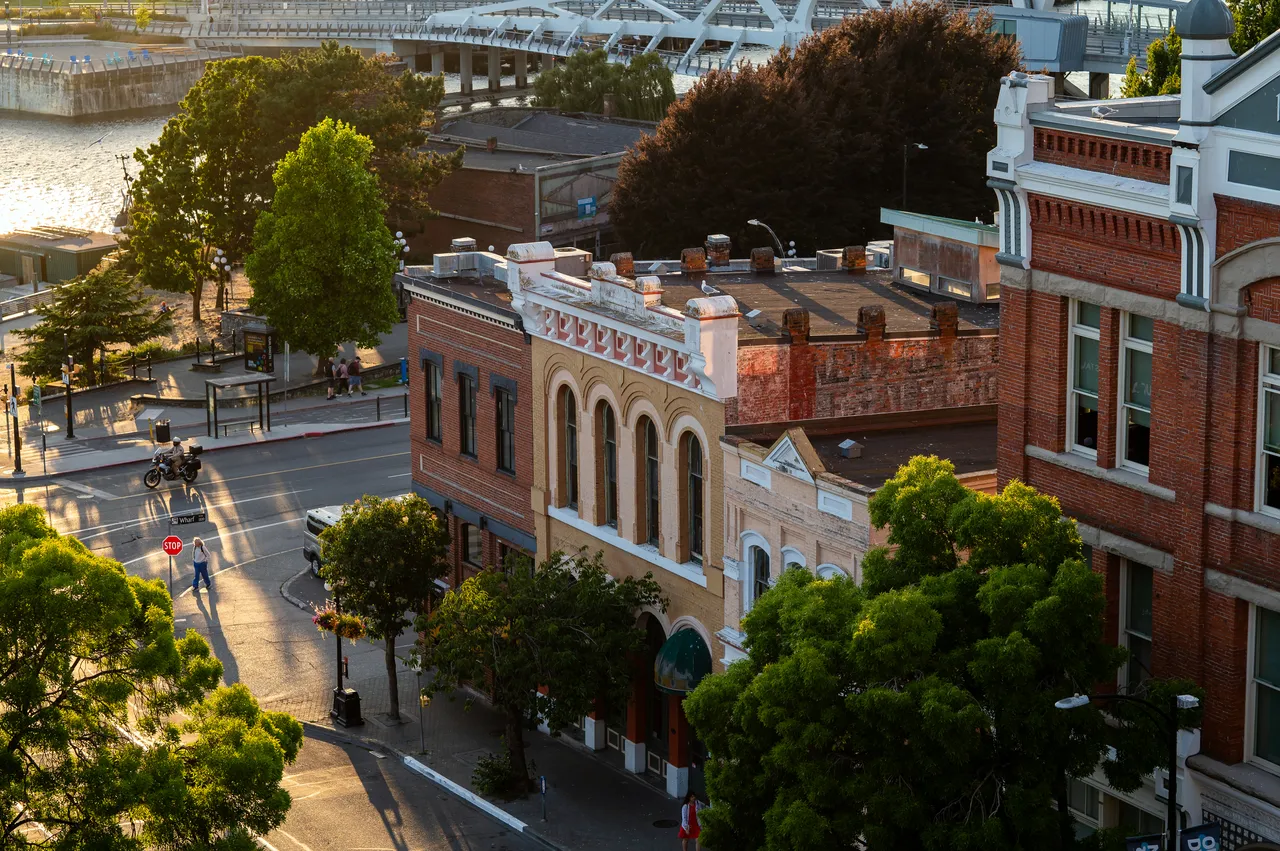 Buildings Downtown During Golden Hour with Trees Nearby and Bridge in Background