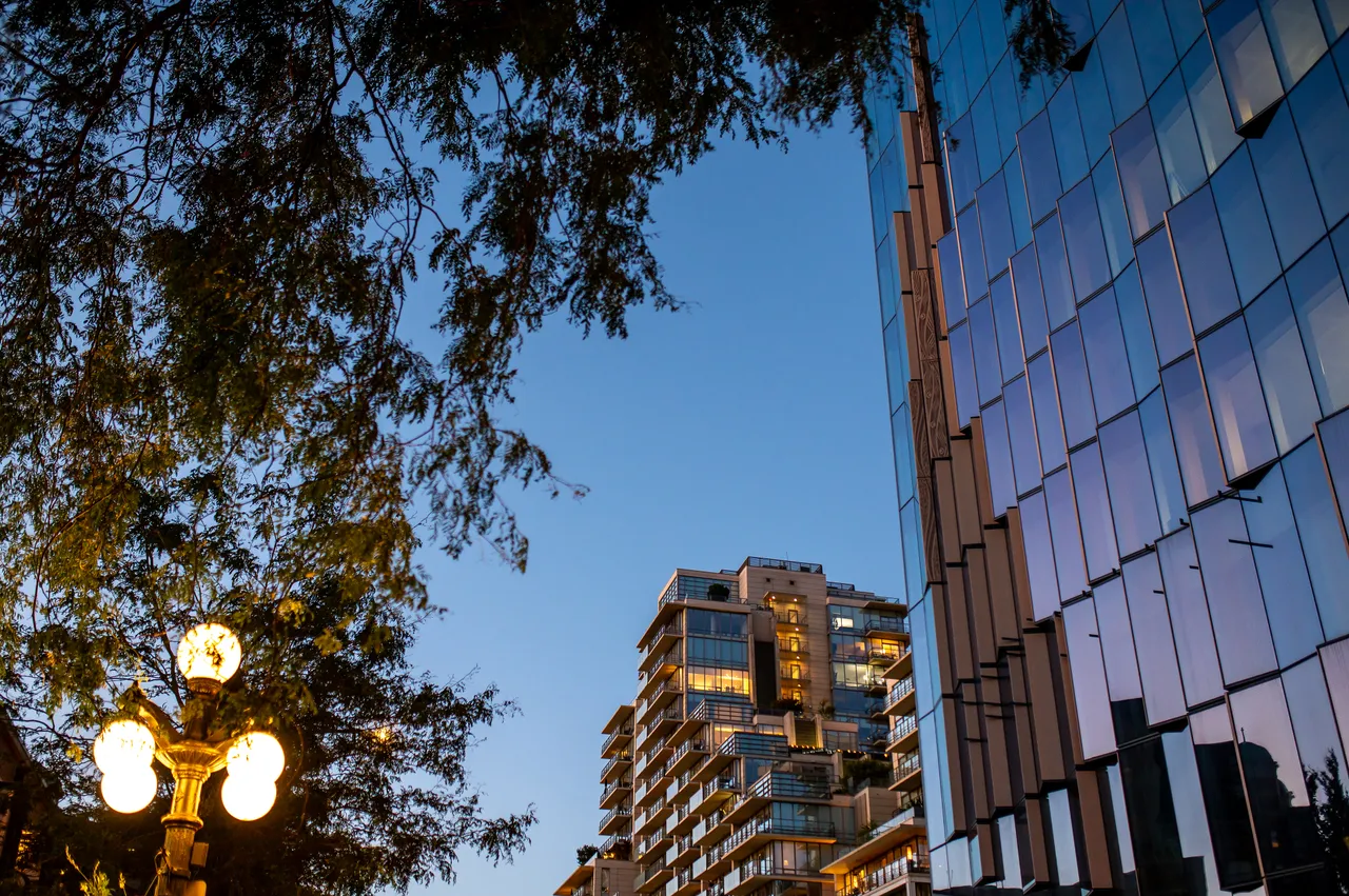 Globe Street Lamp and Glass Tower Framed by Trees at Dusk