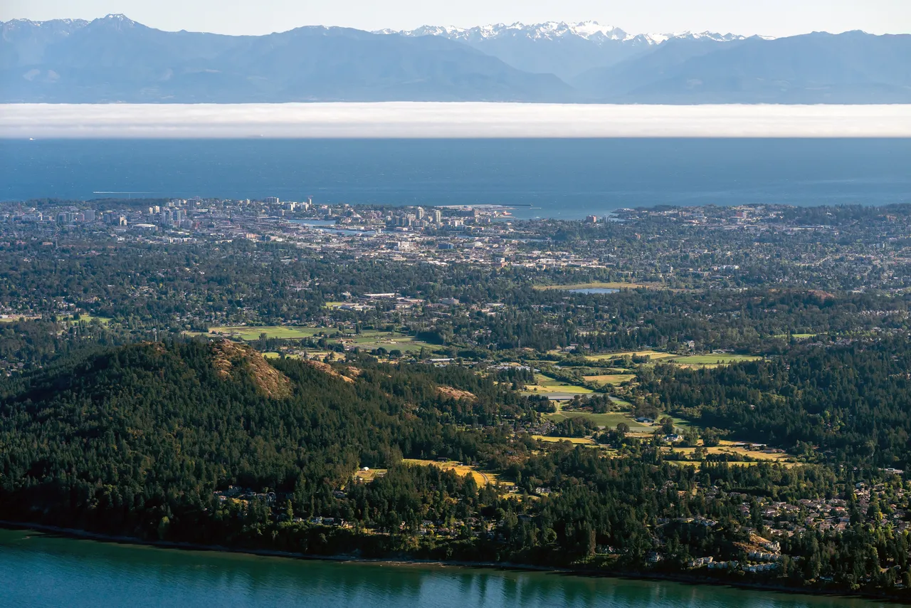Saanich looking South with Mountains and Trees