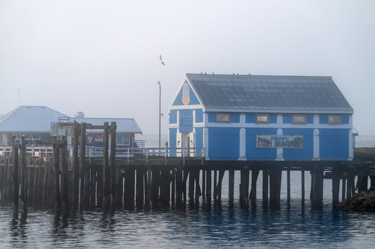 Blue Waterfront Building on Wooden Pier in Morning Fog