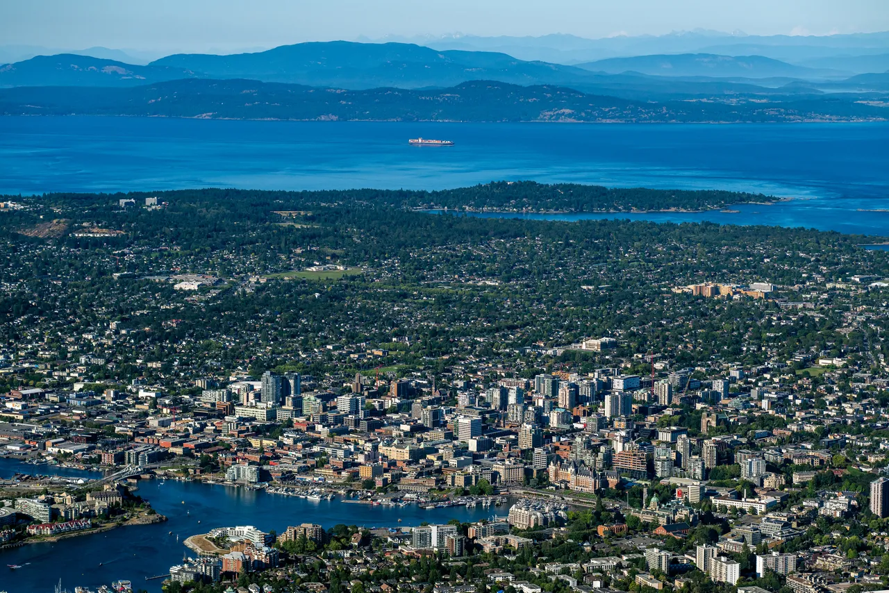 Aerial View of Trees and Greater Victoria