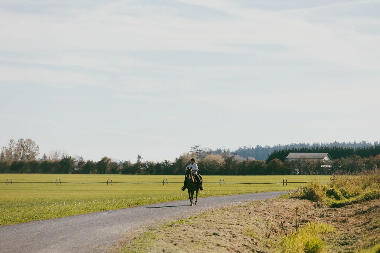 Woman on horse - 1