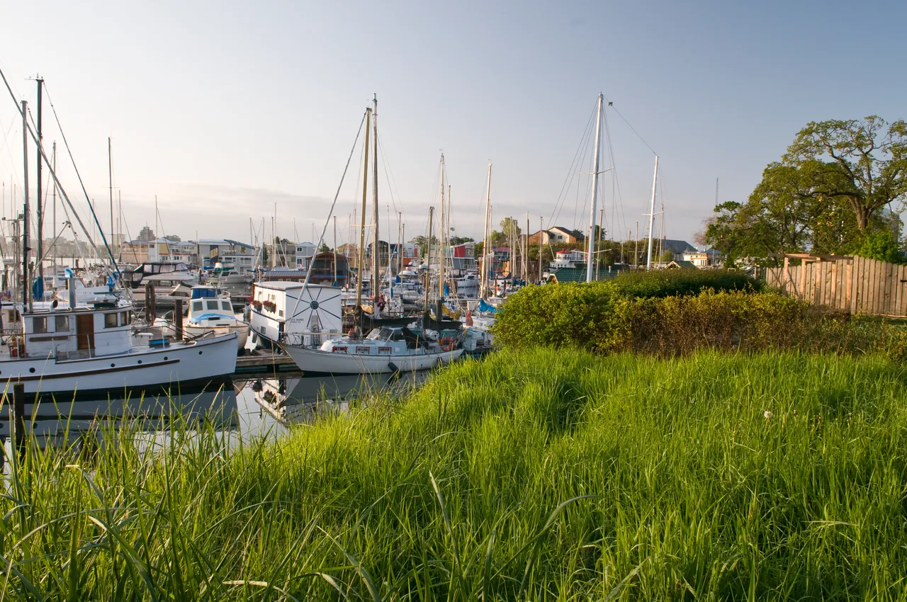 West Bay Marina