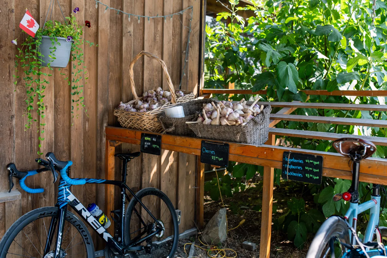 Vegetable Stand during Summer with Bikes and Plants
