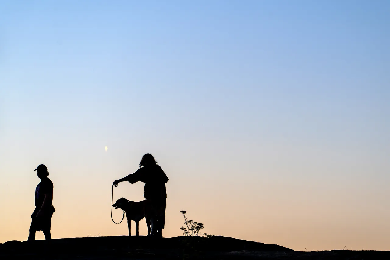 Silhouette of Couple Walking a Dog in Nature