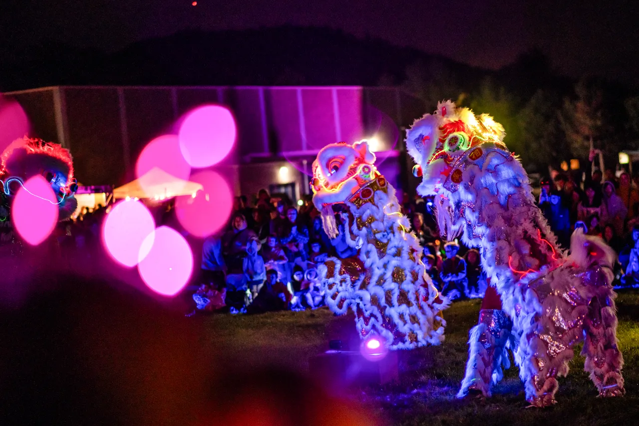 Lion dance - 4