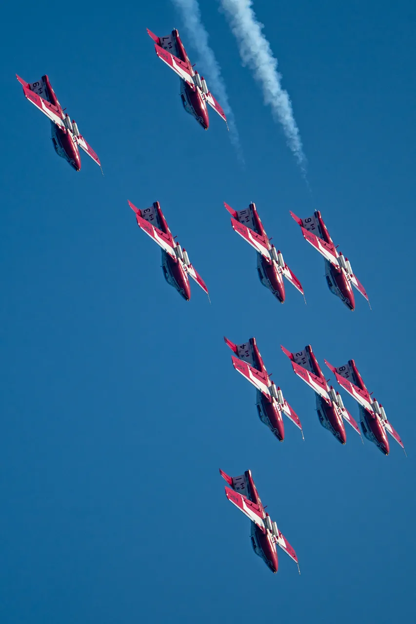 Nine Snowbirds Jets in Formation Overhead (Vertical)