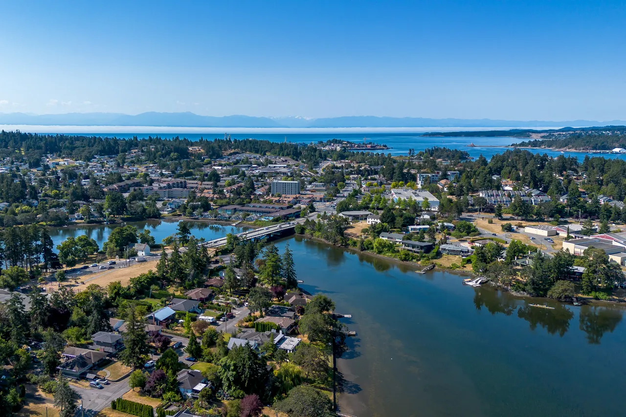Aerial Photo Overlooking Bridge and Water with Trees