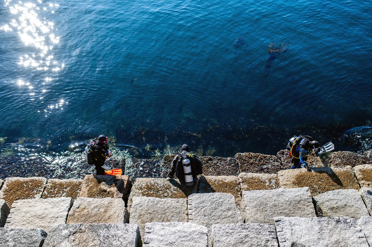 Snorkelling at Victoria's Breakwater District at Ogden Point