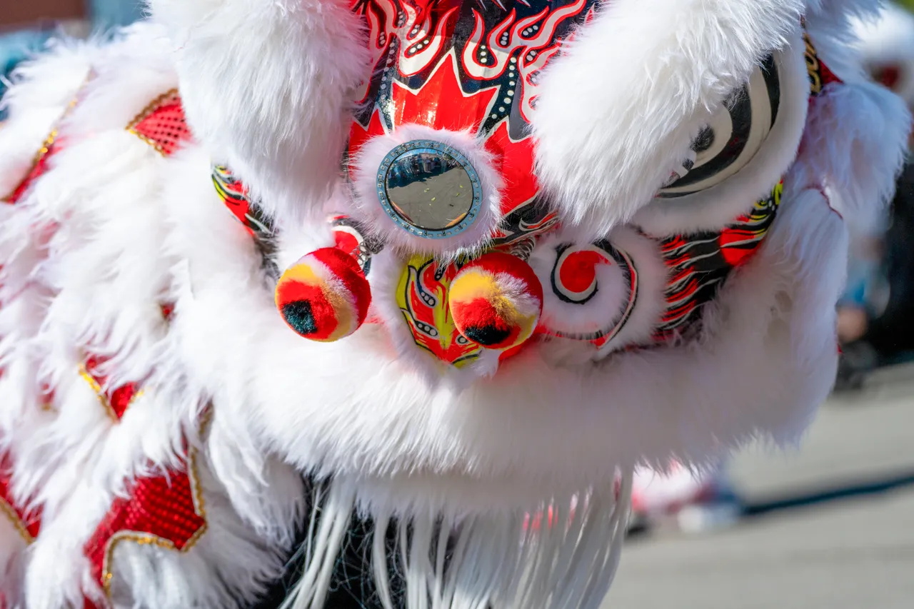 Lion dance - 5