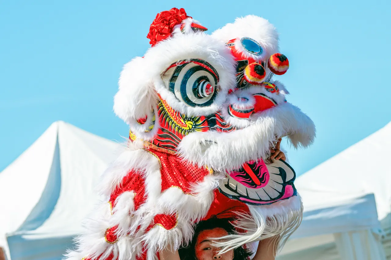 Lion dance - 2