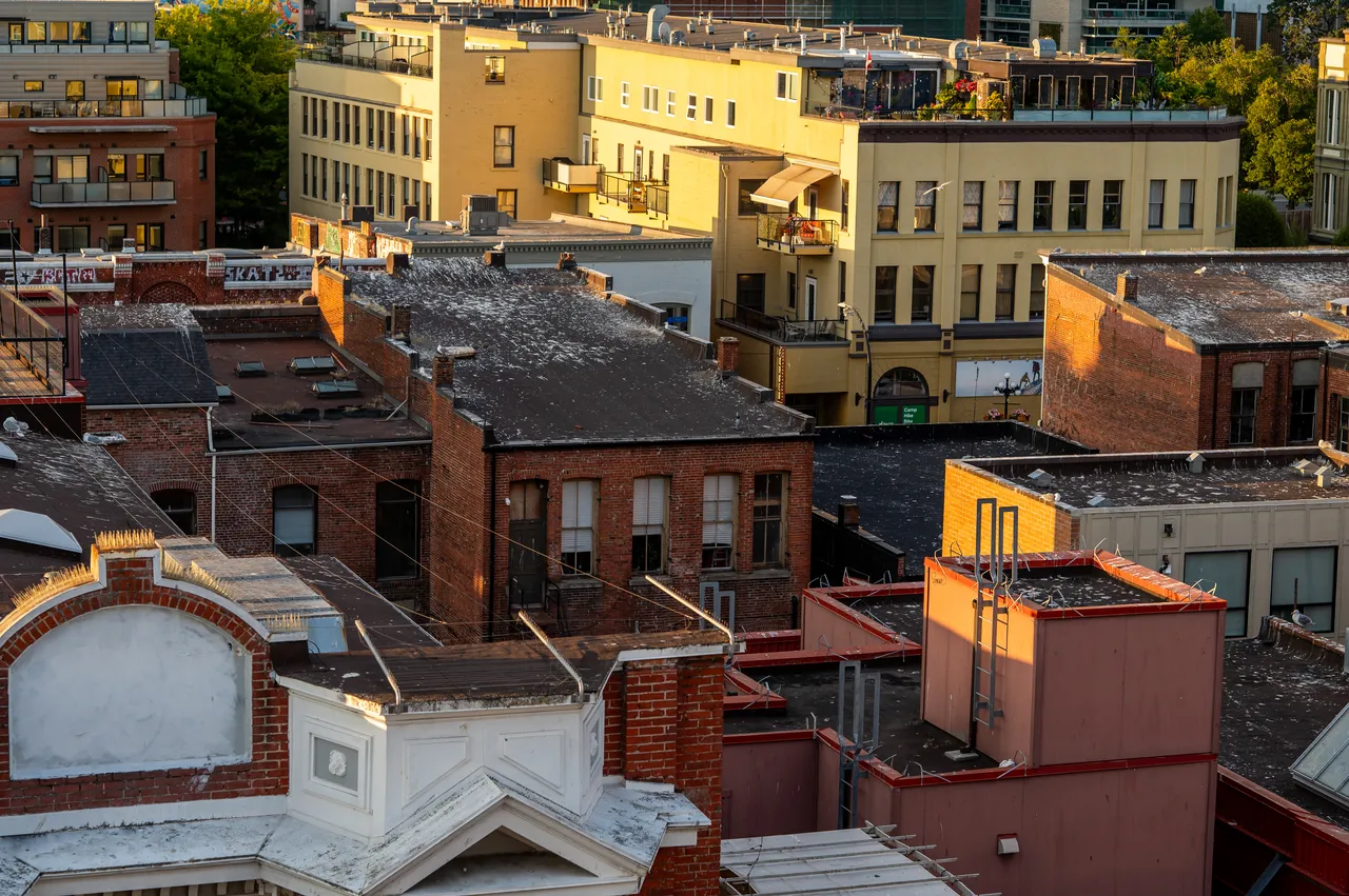 Building Rooftops Downtown During Golden Hour