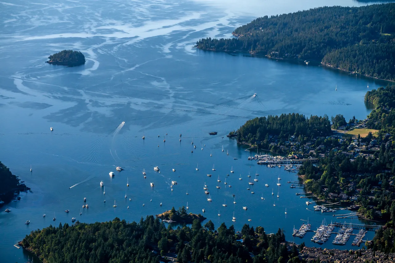 Brentwood Bay Marina Aerial 1