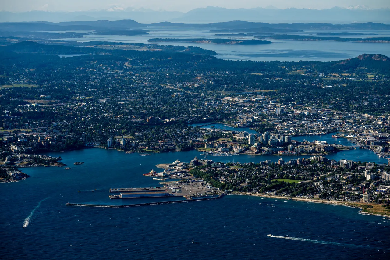 Aerial with Mountains, Ocean and Trees 2
