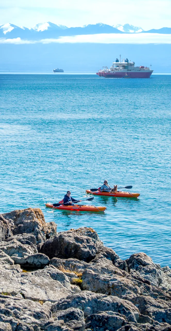 Kayakers in Esquimalt
