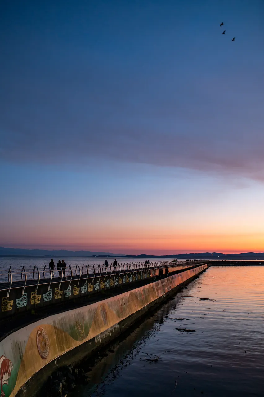 Ogden Point Breakwater at Night with People Walking
