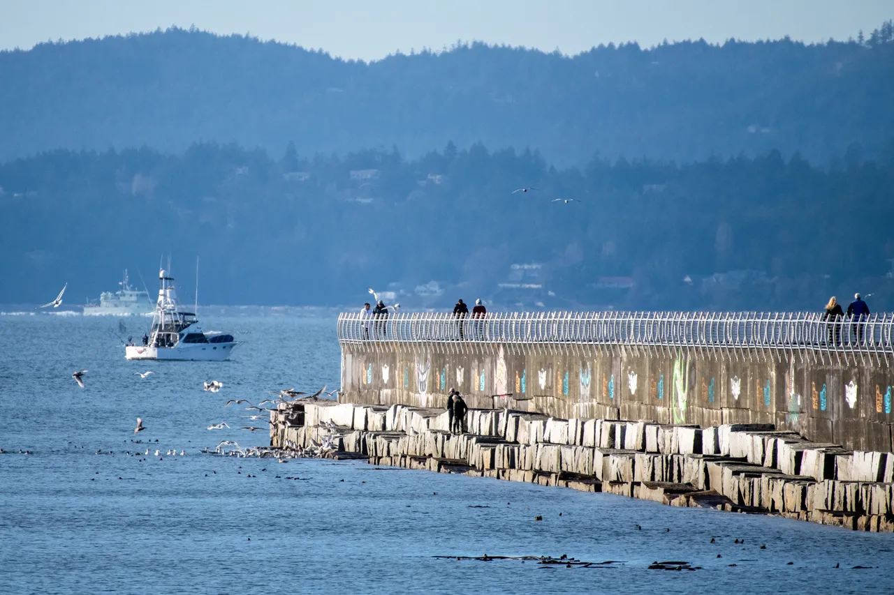Water landscape with breakwater - 1
