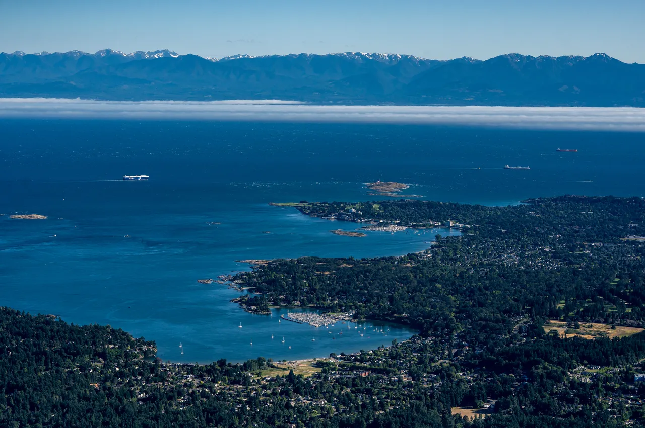 Oak Bay Aerial with Ocean and Forests