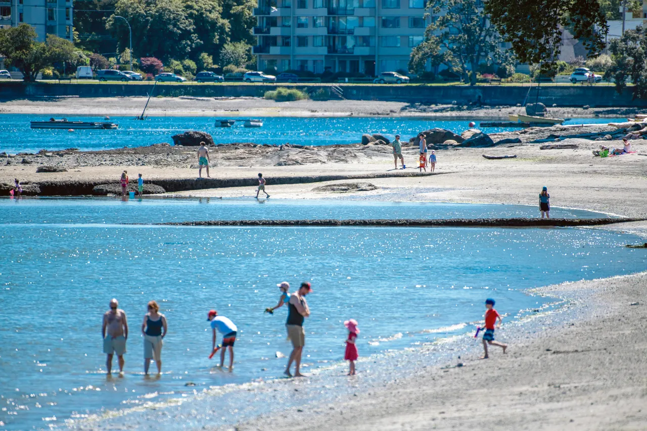 People and families on beach - 7